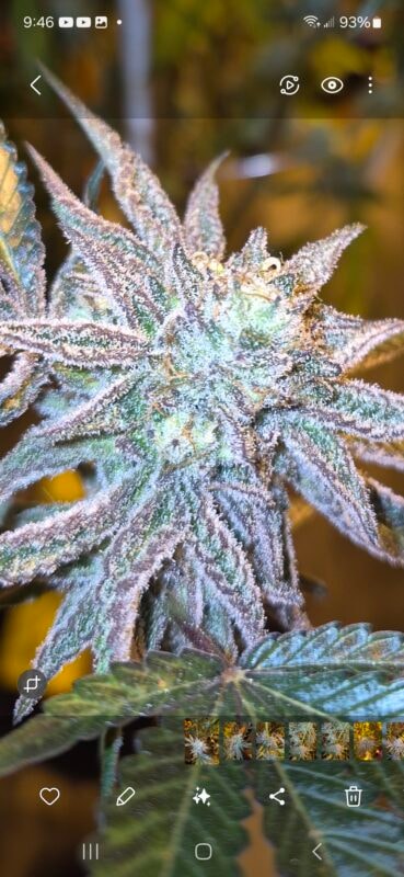 Image #2 from Michael Schott