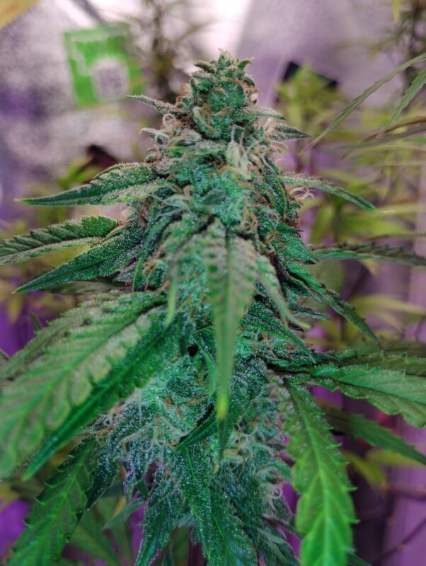 Image #1 from James W.