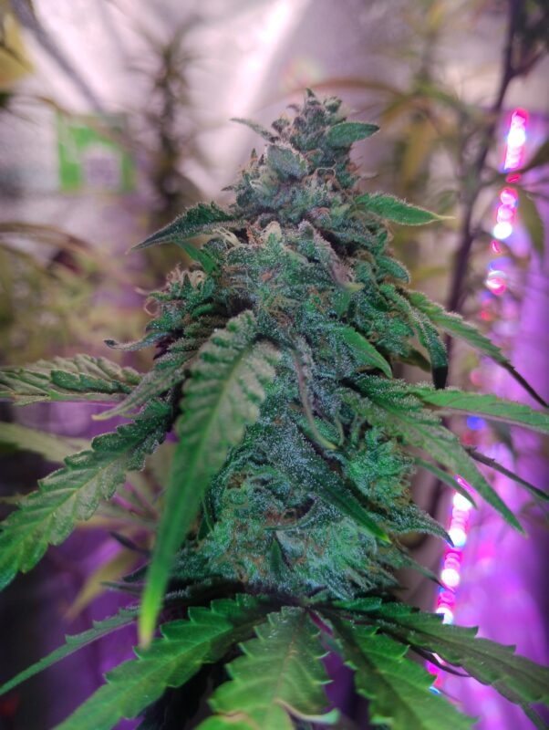 Image #2 from James W.