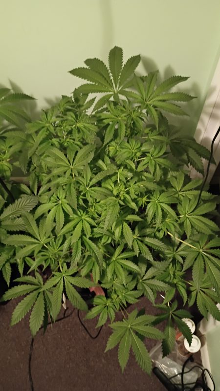 Image #1 from Craig Havens