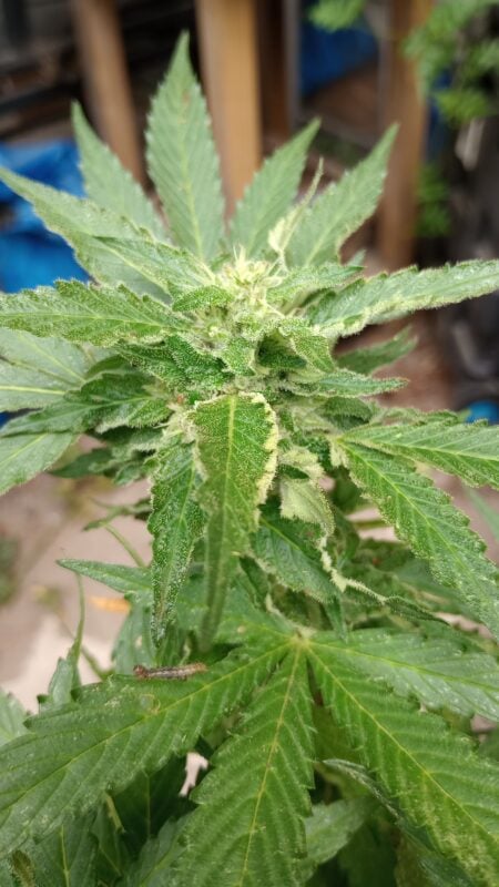 Image #1 from Gustavo G.