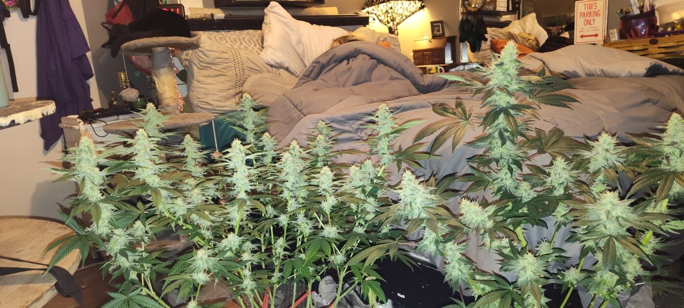 Image #1 from Anonymous