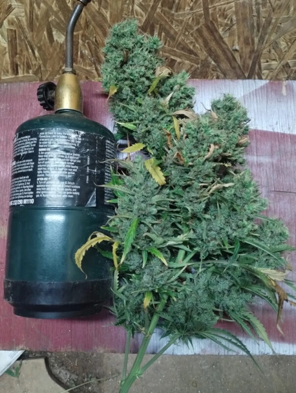 Image #1 from Anonymous