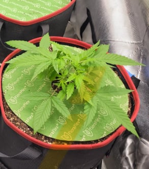 Image #1 from Anonymous