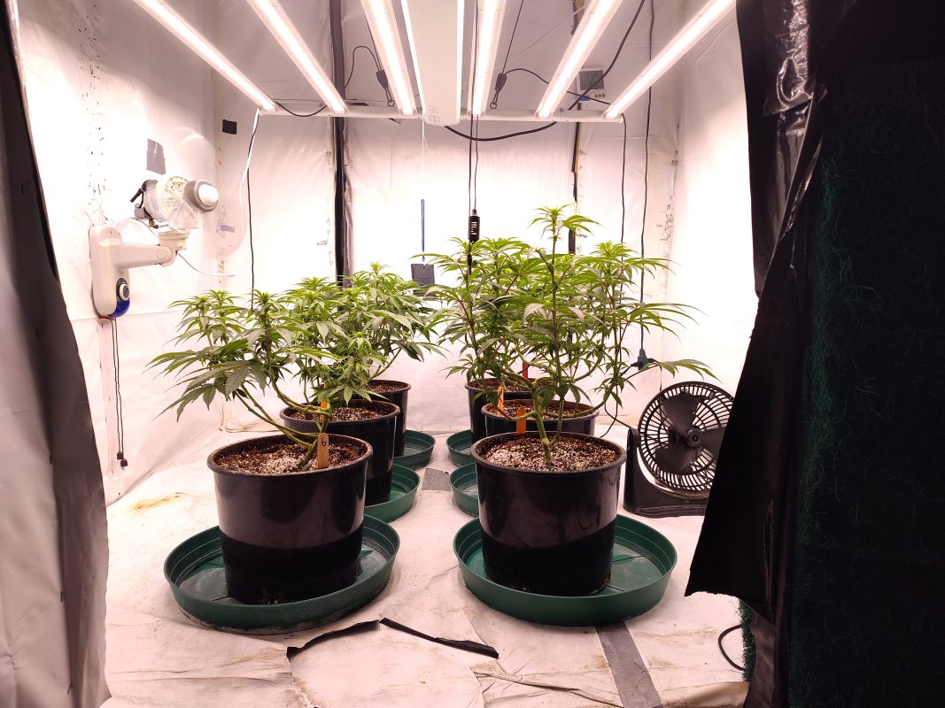 Image #2 from Michael Bridgewater