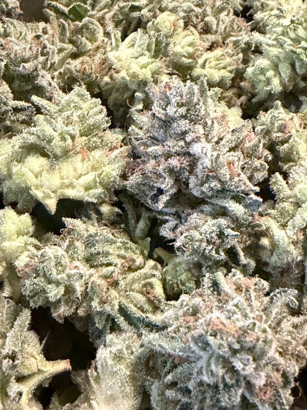 Image #3 from Esq.cultivator