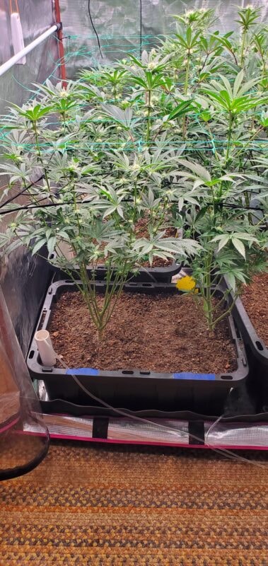 Image #1 from Brett S.