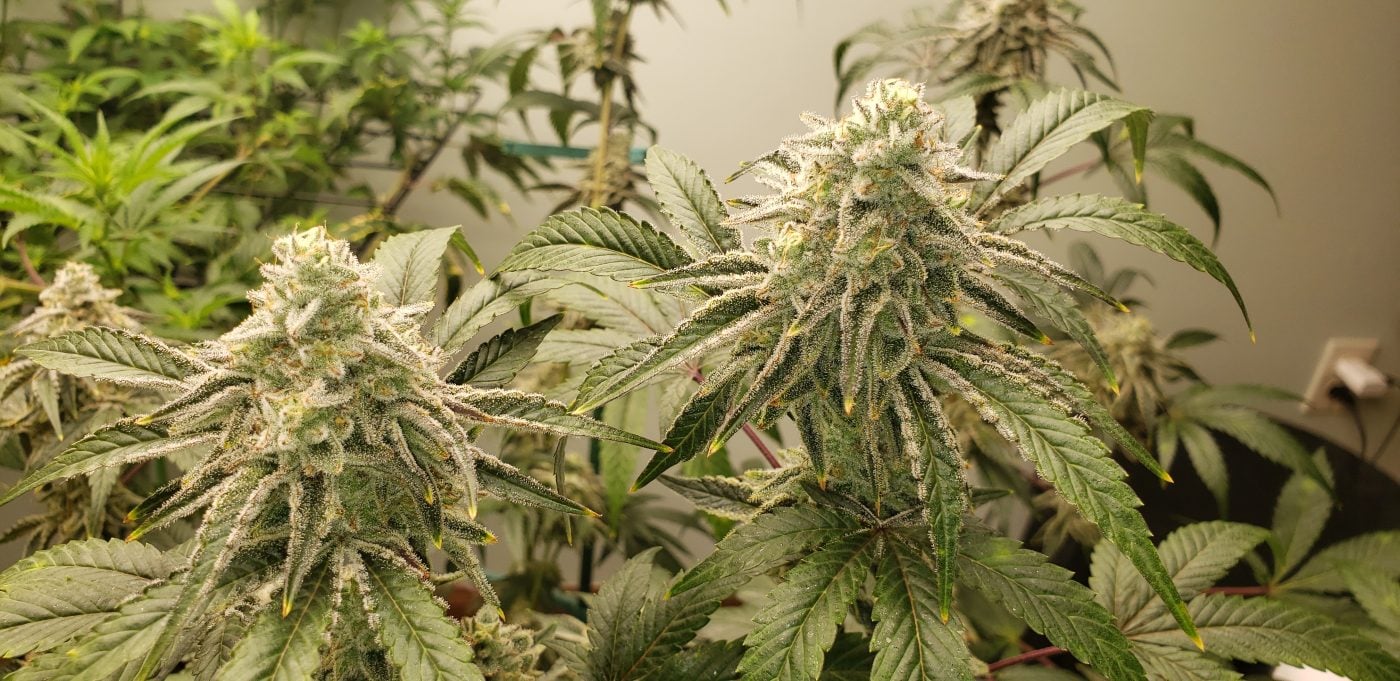 Image #1 from LeAnne