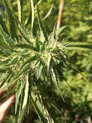 Image #1 from Anonymous