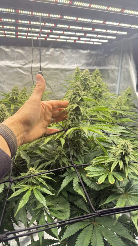 Image #2 from Francis H.