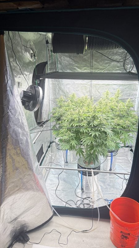 Image #1 from Francis H.