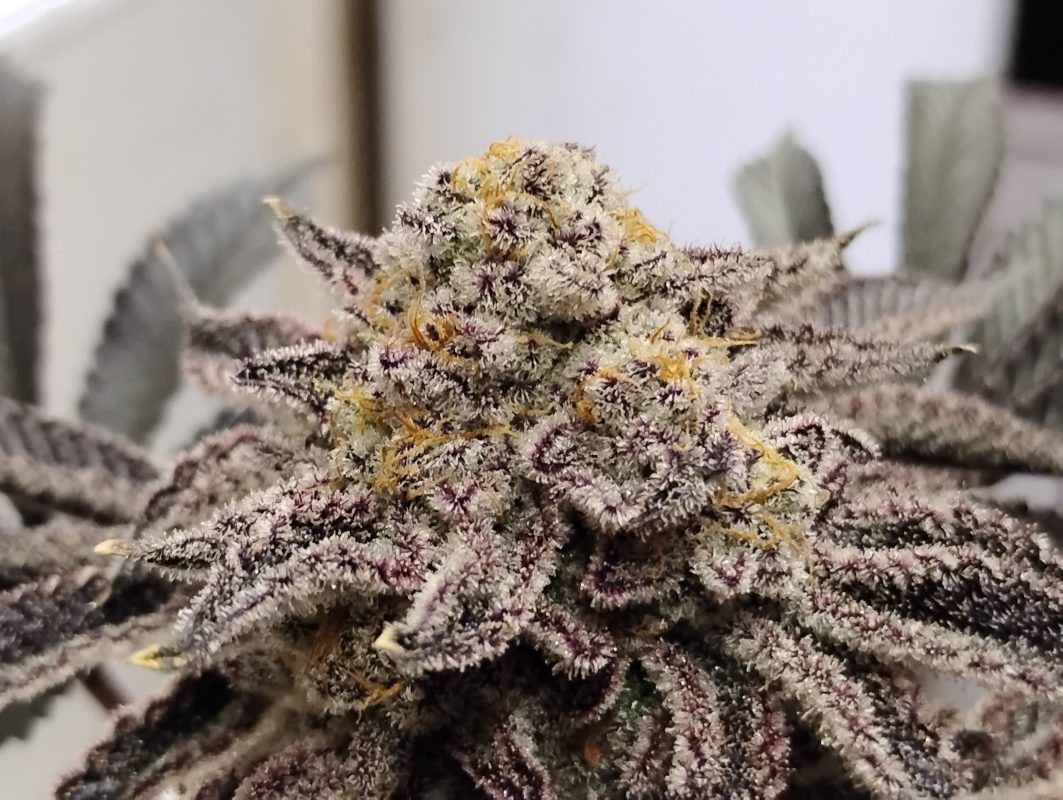 Image #2 from TIM R.