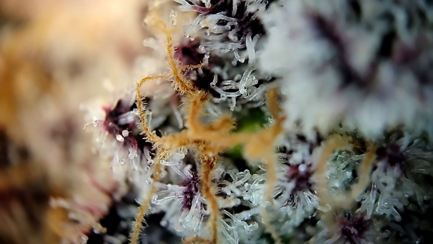 Image #5 from TIM R.