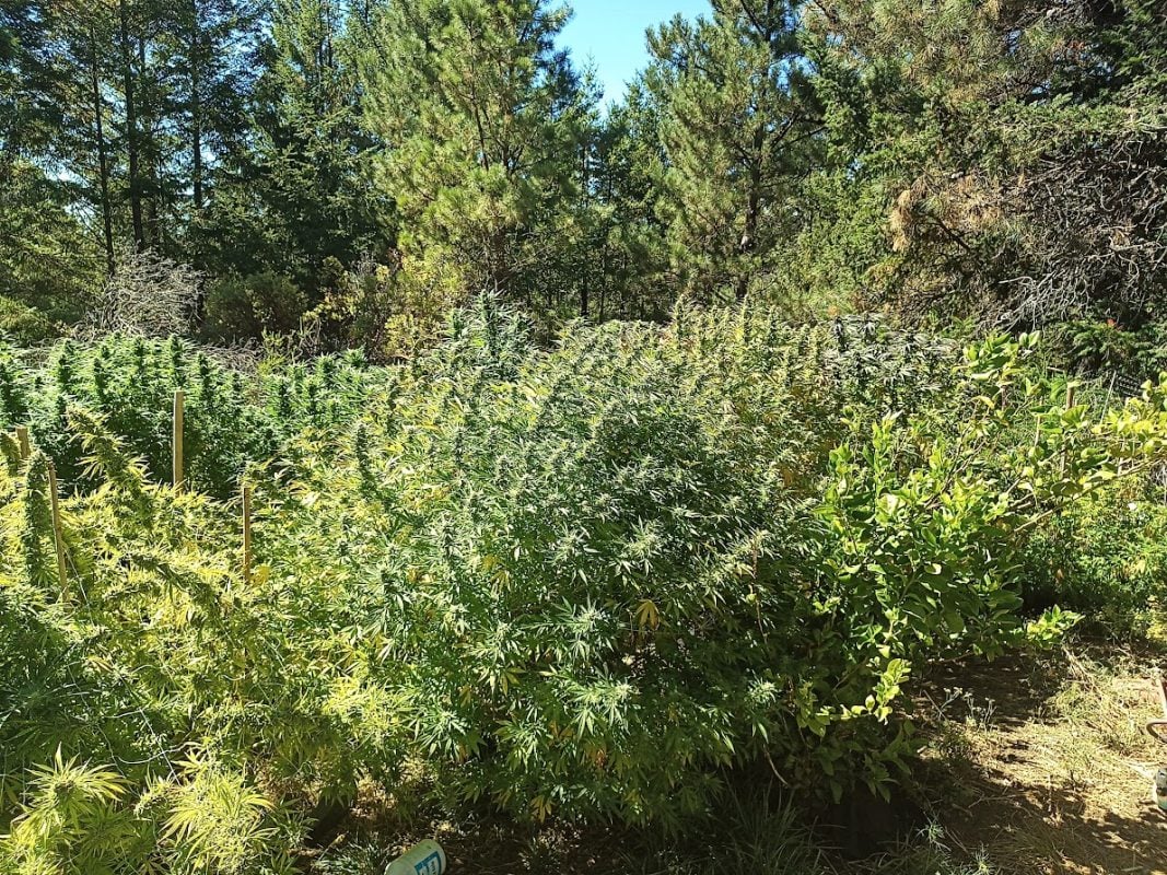 Image #1 from Anonymous