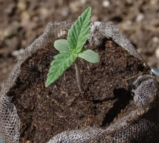 Image #1 from Anonymous