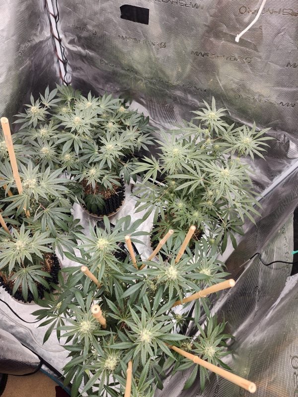 Image #1 from Mark Rifenburgh