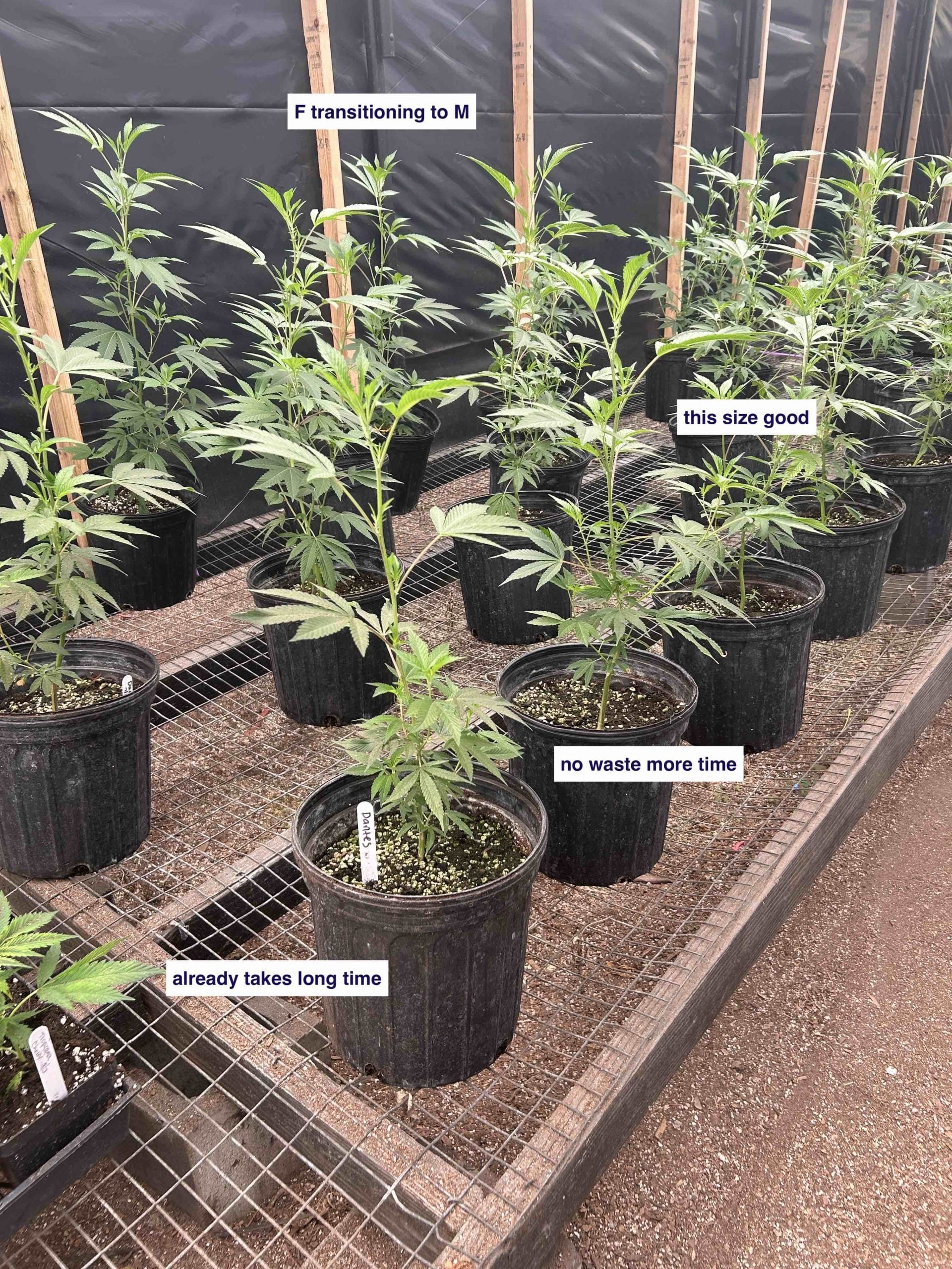 30% Off ALL SEEDS