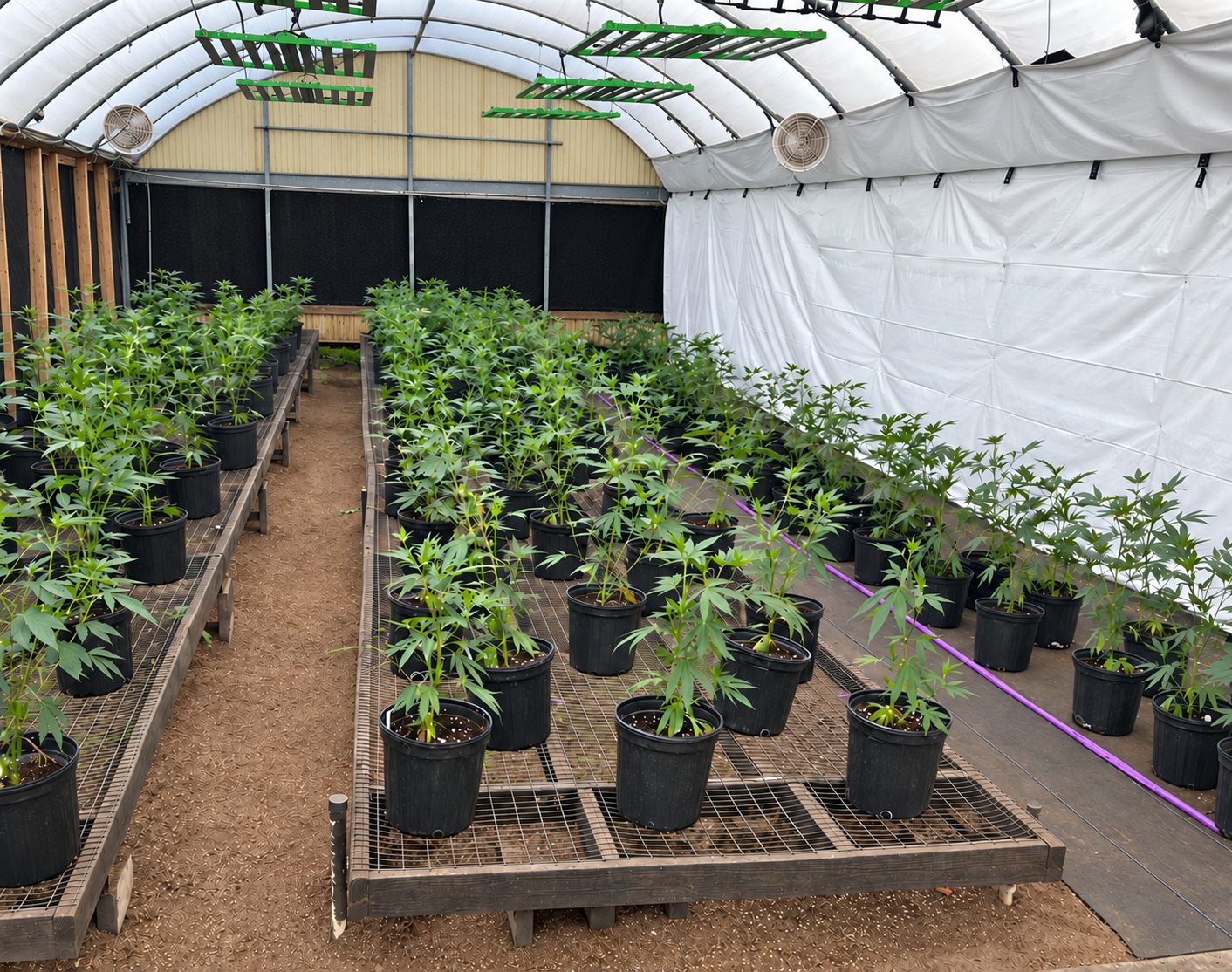 45% Off Seeds This Weekend