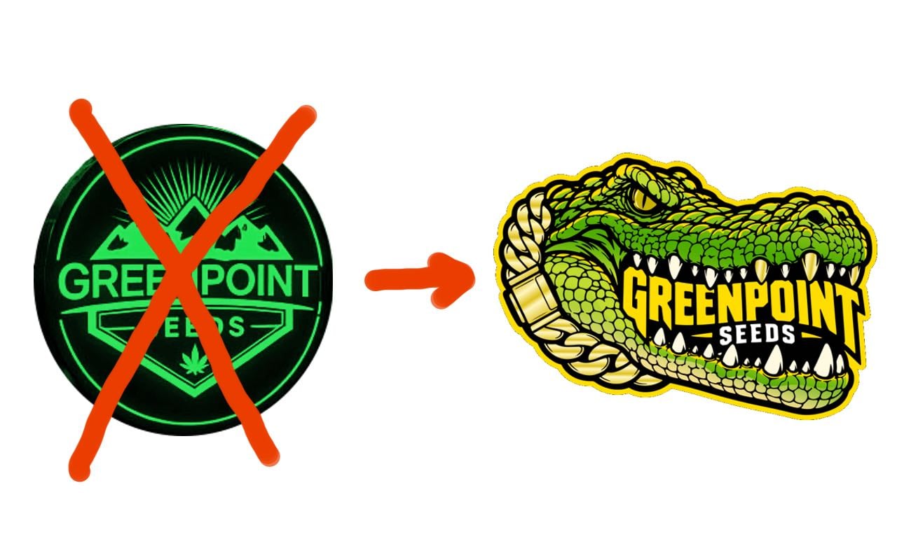 That’s the new logo. The rest is coming.