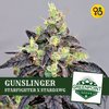 Starfighter X Stardawg Strain - Gunslinger - Greenpoint Seeds