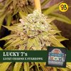 Lucky 7's - Lucky Charms X Stardawg Cannabis Seeds | Greenpoint Seeds