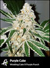 Flowering Purple Cake Strain by Greenpoint Seeds