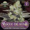 Rogue OG Kush Feminized Cannabis Seeds - Alien OG x Topanga Canyon Strain - Greenpoint Seeds