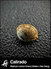Calirado product photo
