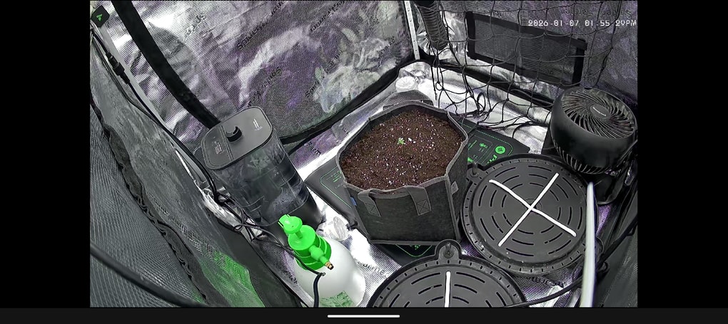 Image #1 from Joseph tanner