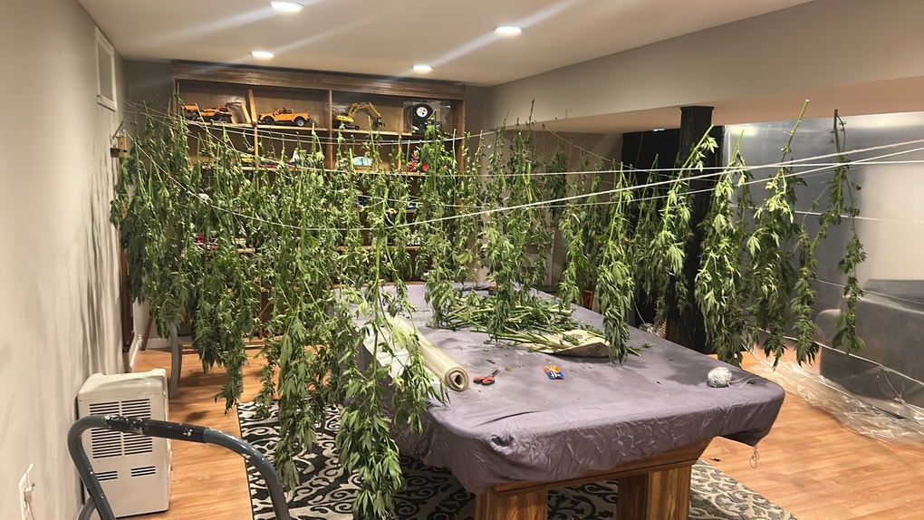 Image #1 from Leo Chaplin