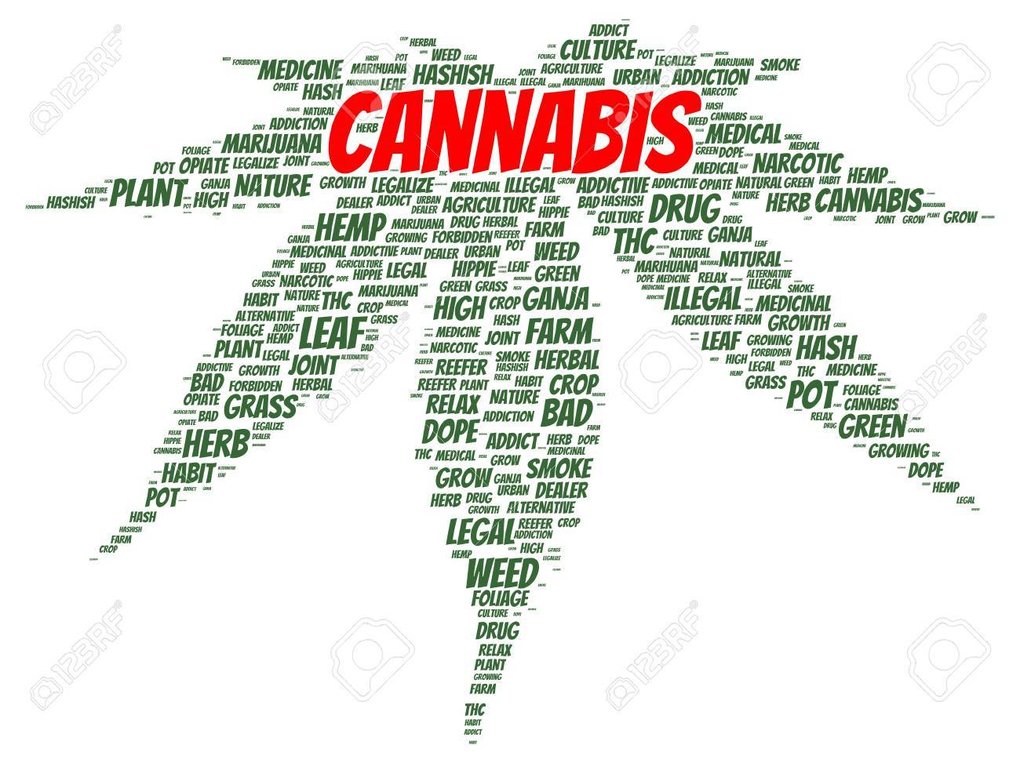 Cannabis terms