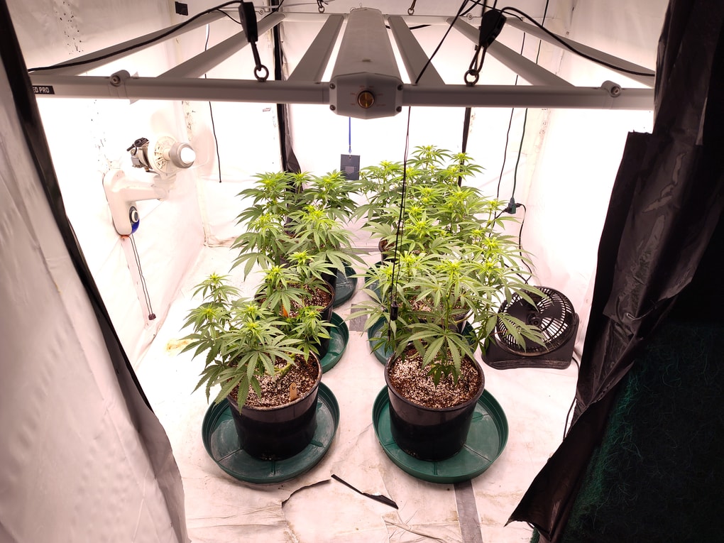 Image #1 from Michael Bridgewater