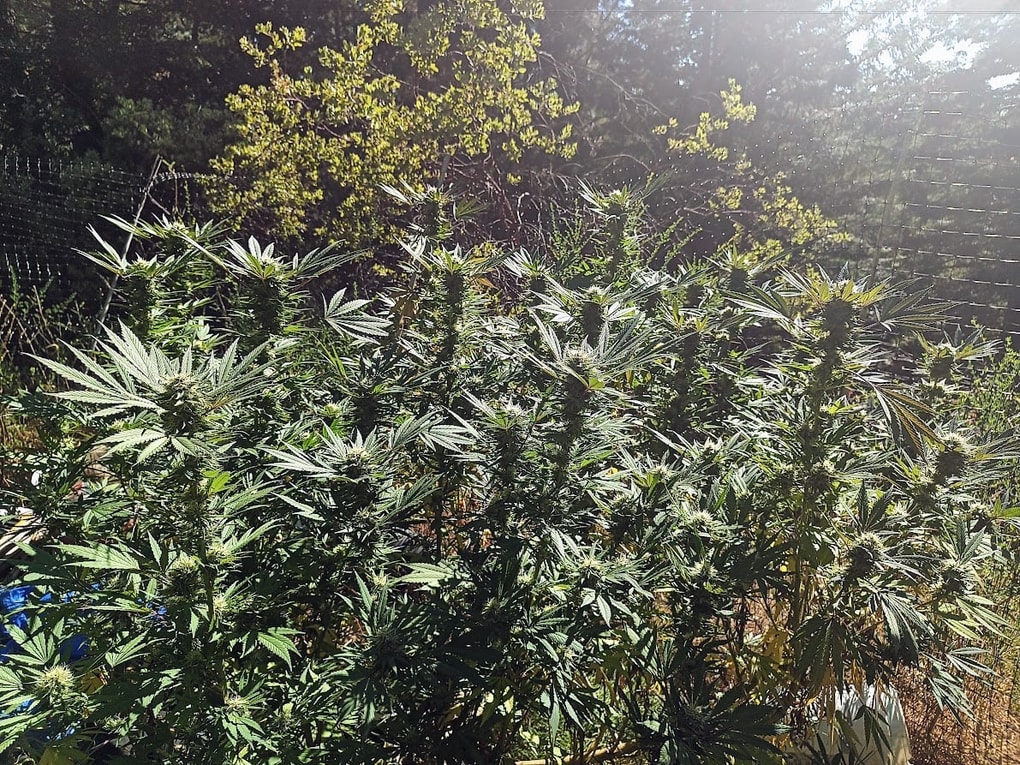 Image #1 from Anonymous