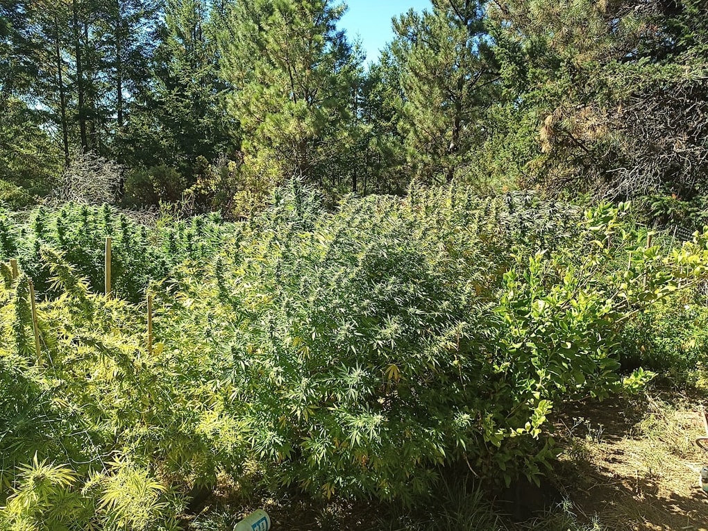 Image #1 from Anonymous