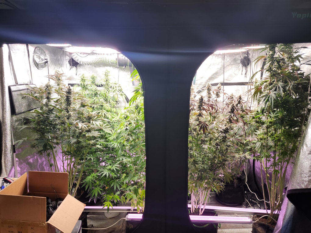 Image #1 from David Diaz