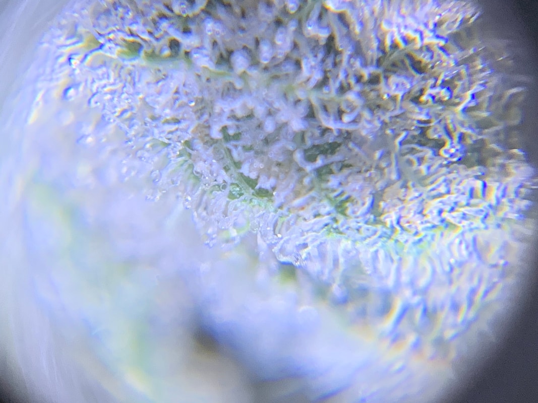Image #1 from Inky
