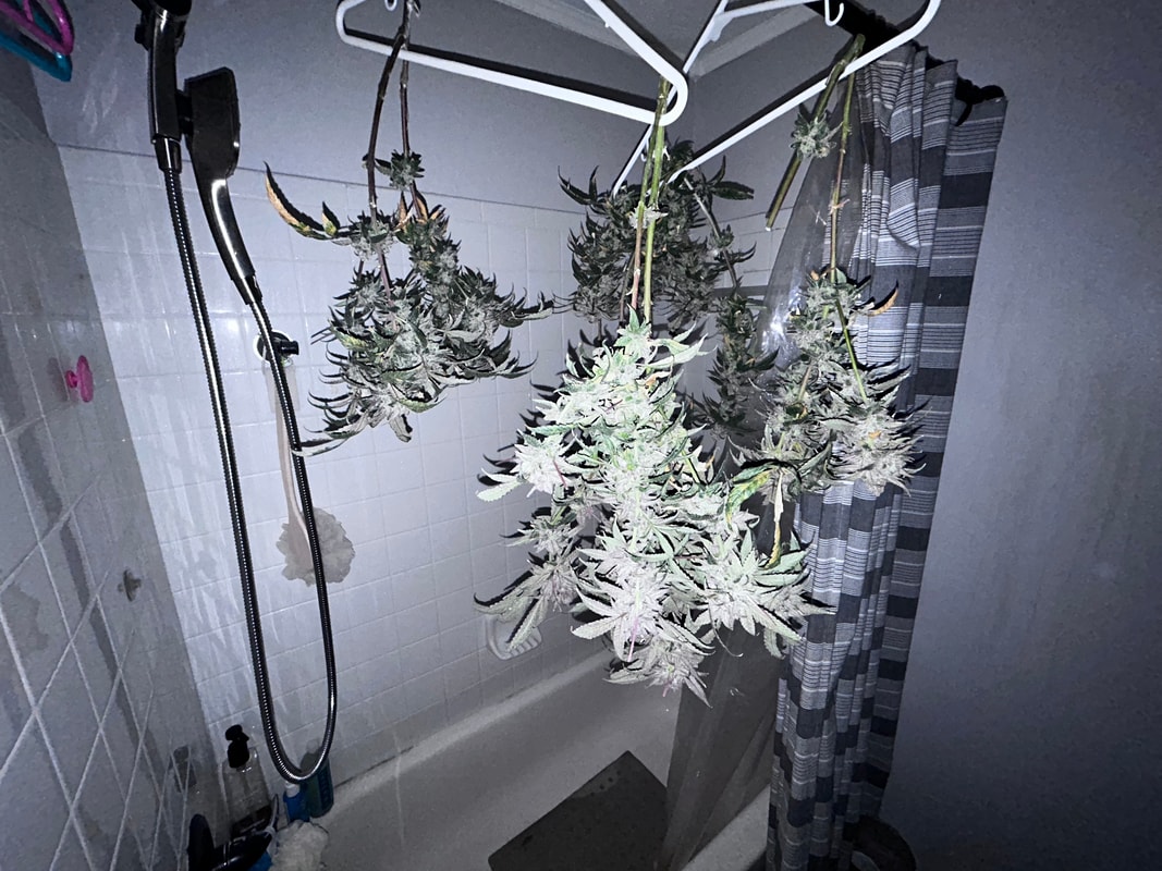 Image #1 from Keif Murray
