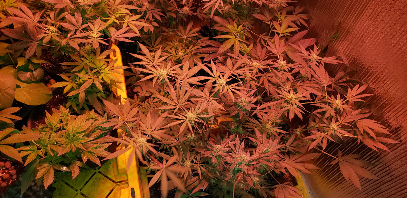 Image #1 from Drkillawatt