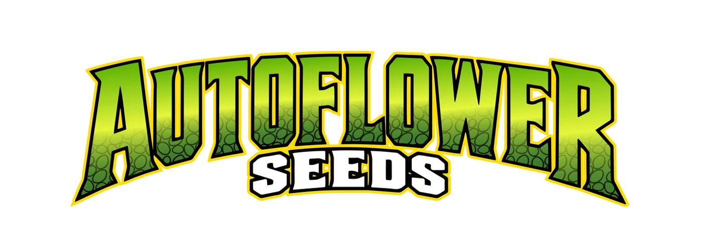 Autoflower Seeds