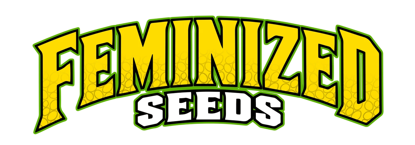 Feminized Cannabis Seeds