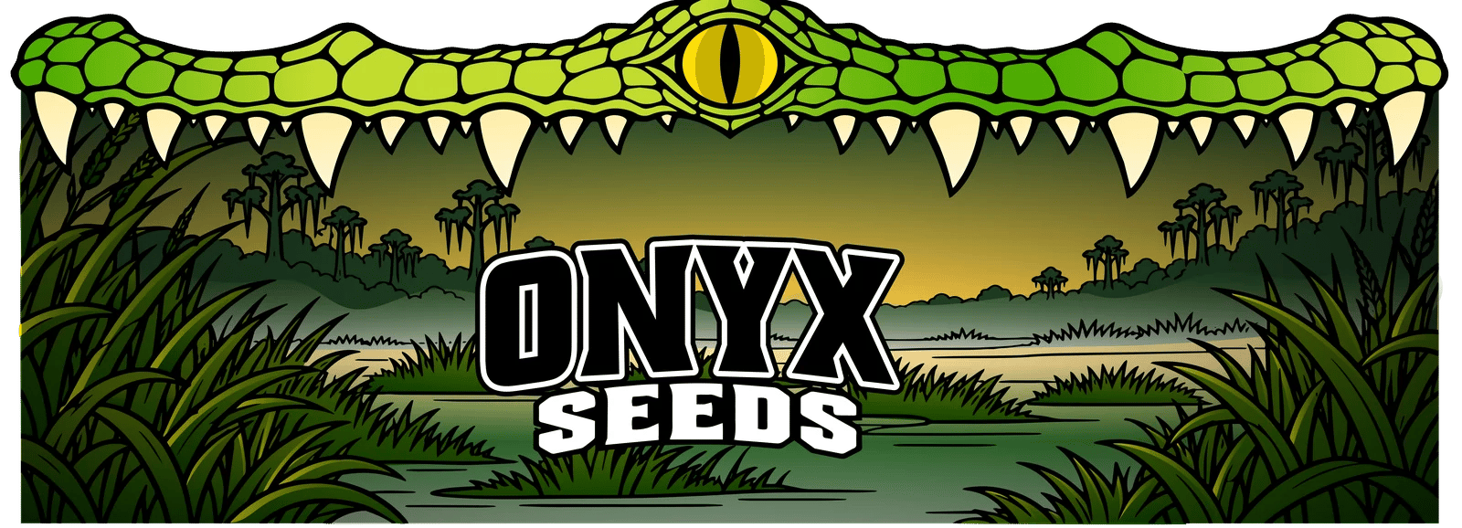 Onyx Seeds