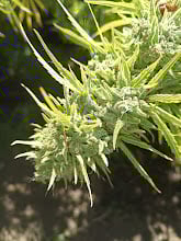 Image #1 from Anonymous