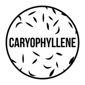 Caryophyllene Terpene - Cannabis Terpenes