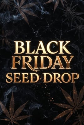 Black Friday Seeds Drop