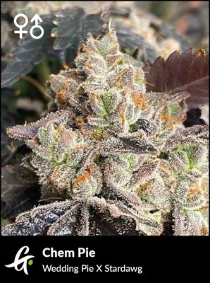 Chem Pie