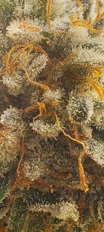 Image #1 from RHEC420