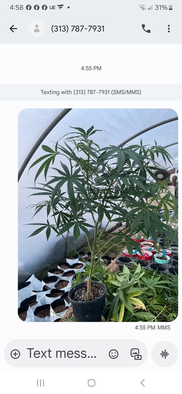 Image #1 from Matthew Mcconico