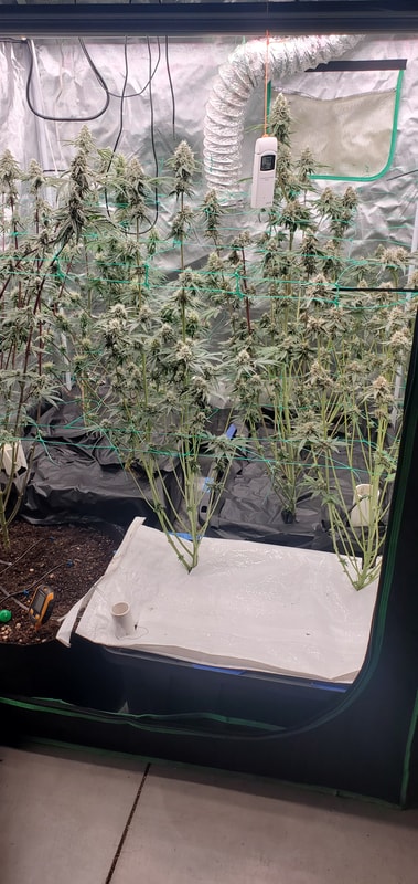 Image #1 from Brett S.