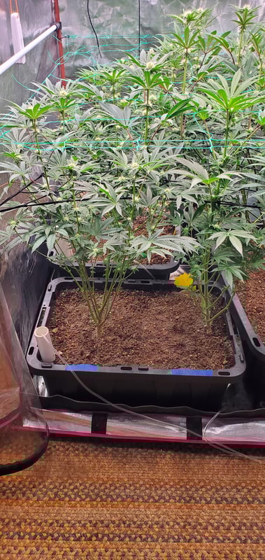 Image #1 from Brett S.