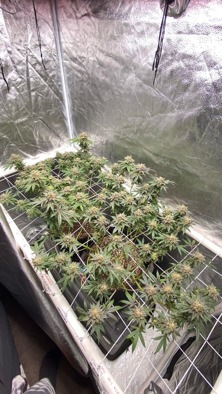 Image #1 from Gene Lucia